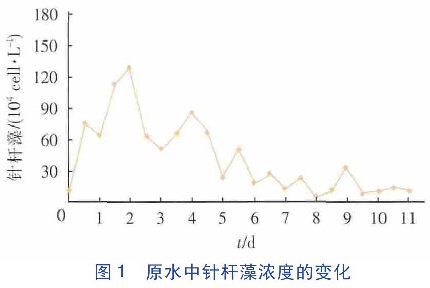 圖1 原水中針桿藻濃度的變化
